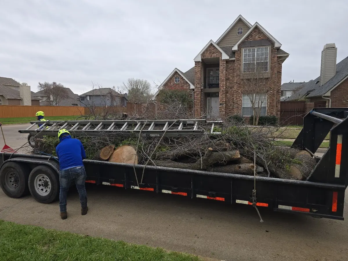 Expert Lot Clearing with proper safety equipment in Dumont